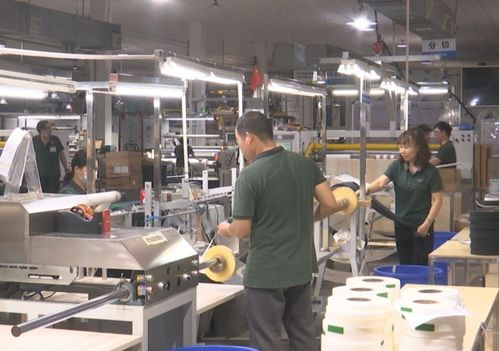 創(chuàng)新驅(qū)動(dòng)，綠色先行——記廣東盈通新材料研發(fā)中心榮膺“全國(guó)工人先鋒號(hào)”稱號(hào)